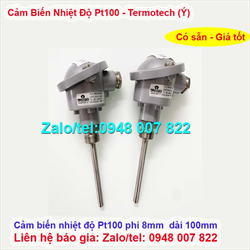 Cảm biến nhiệt độ Pt100 phi 8 dài 100mm Termotech